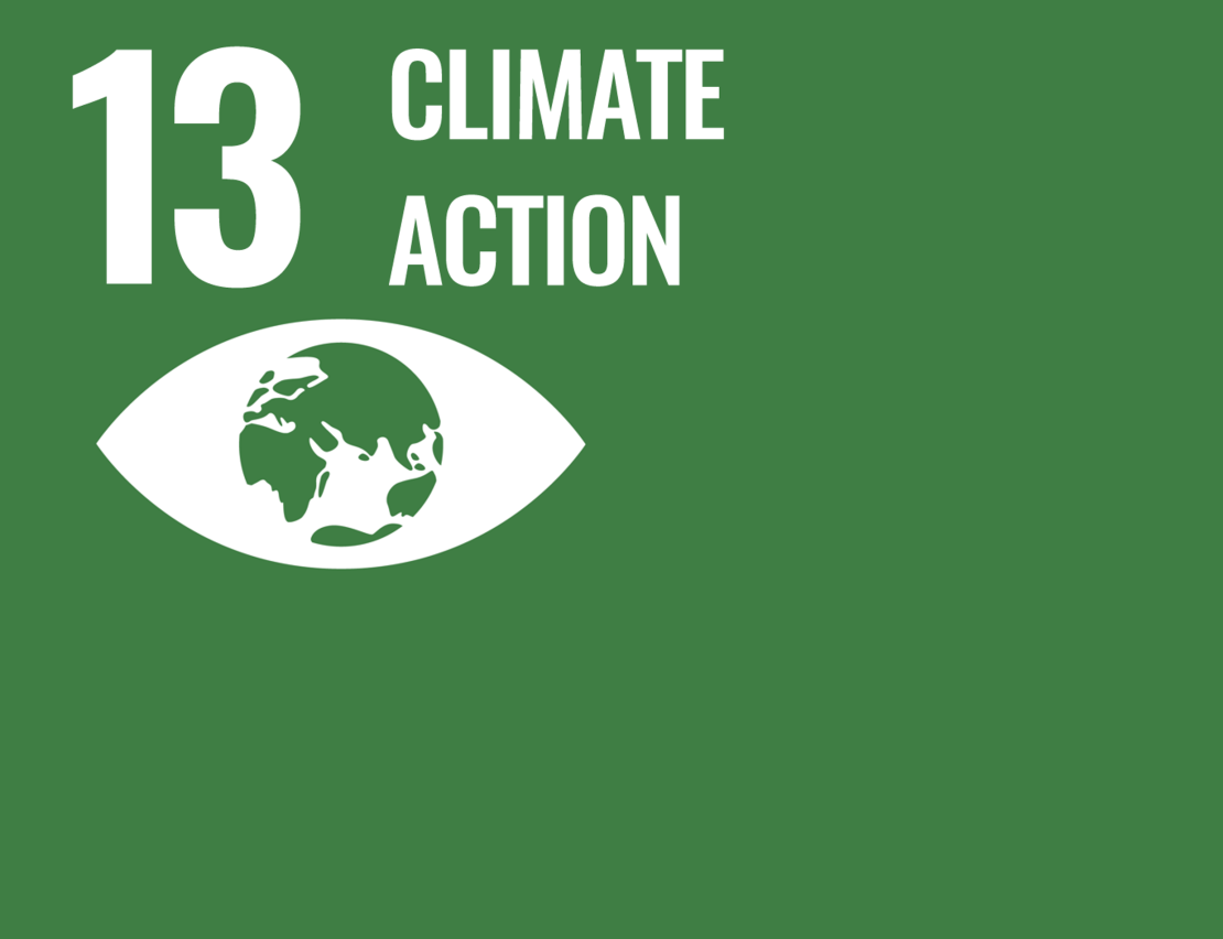 SDG goal 13