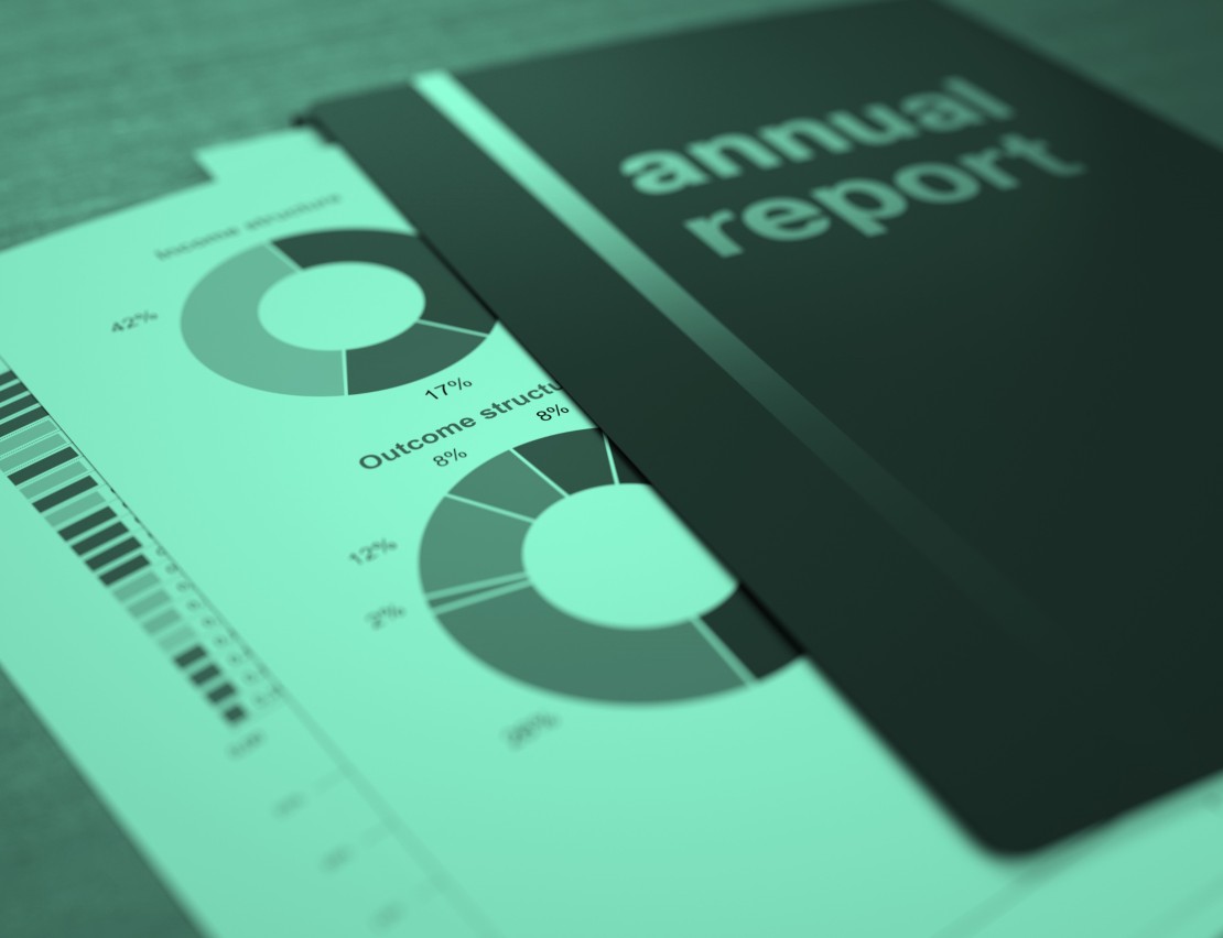 picture annual reports_2